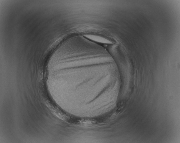 X0000080660407200701121612