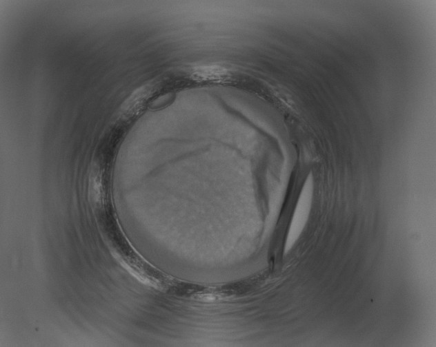 X0000080660408200701121612