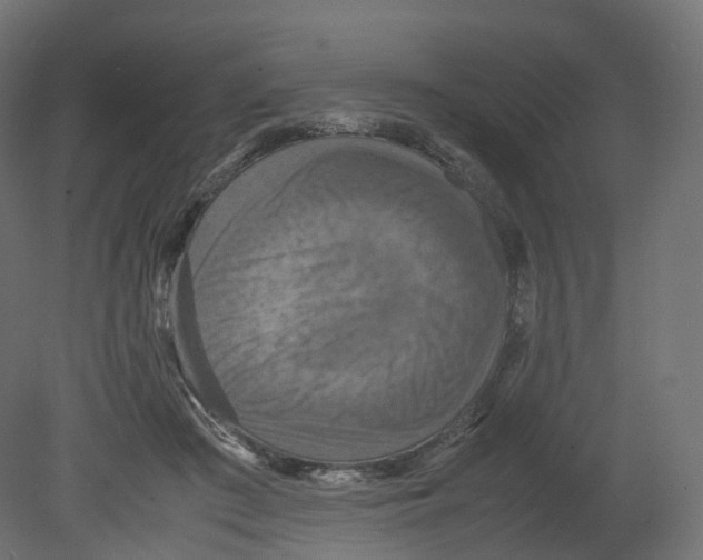 X0000080660409200701121611