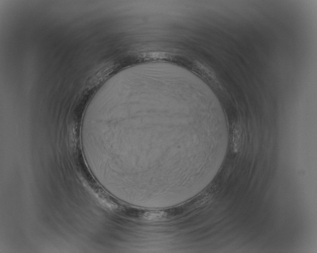 X0000080660410200701121611