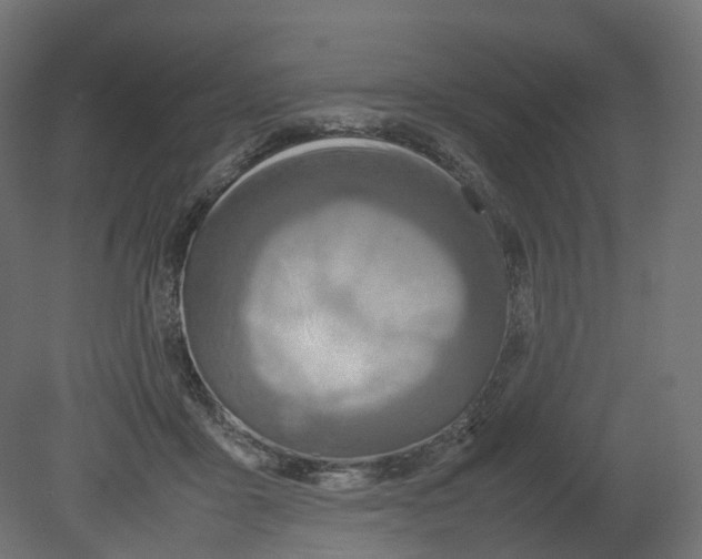 X0000080660411200701121611