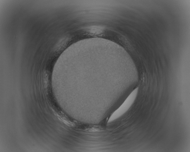 X0000080660412200701121611