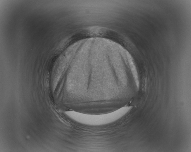 X0000080660413200701121611