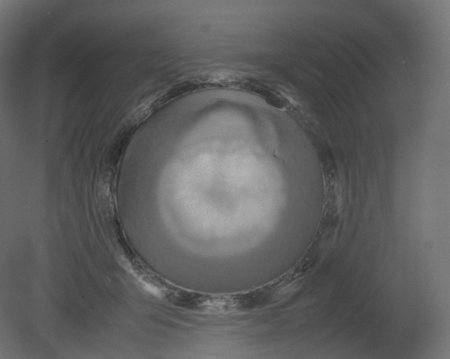 X0000080660415200701121611