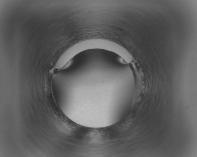 X0000080660416200701121611