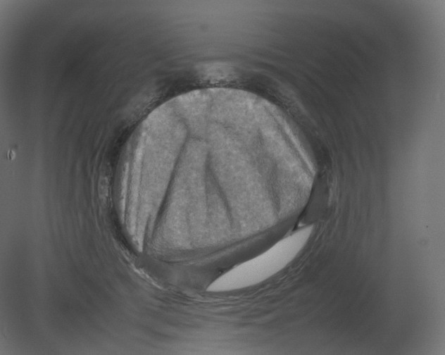 X0000080660417200701121611