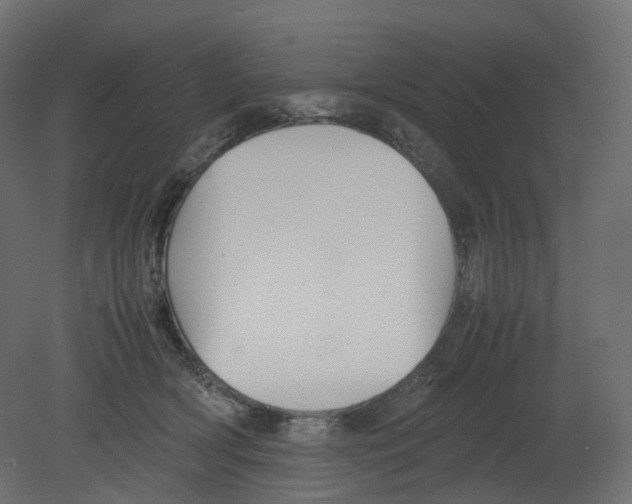 X0000080660418200701121611