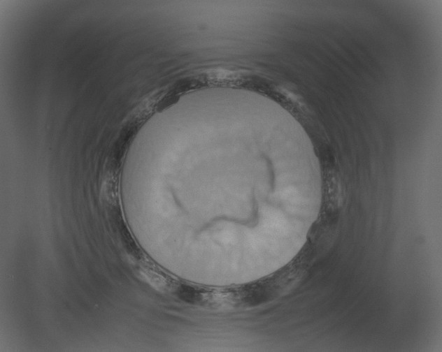 X0000080660419200701121611