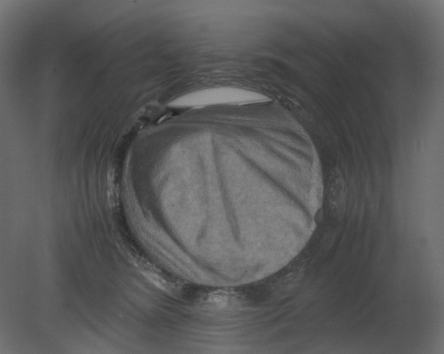 X0000080660420200701121611