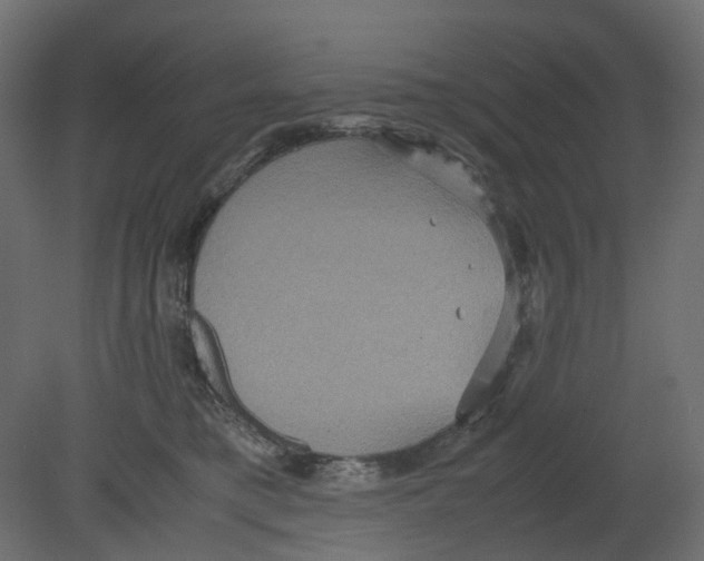 X0000080660421200701121611