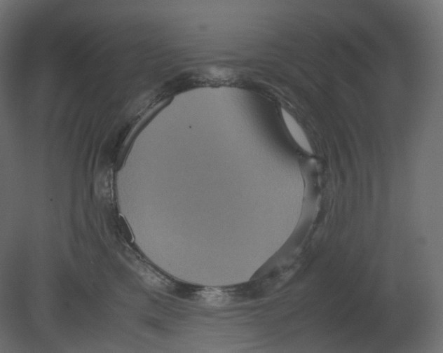 X0000080660425200701121611