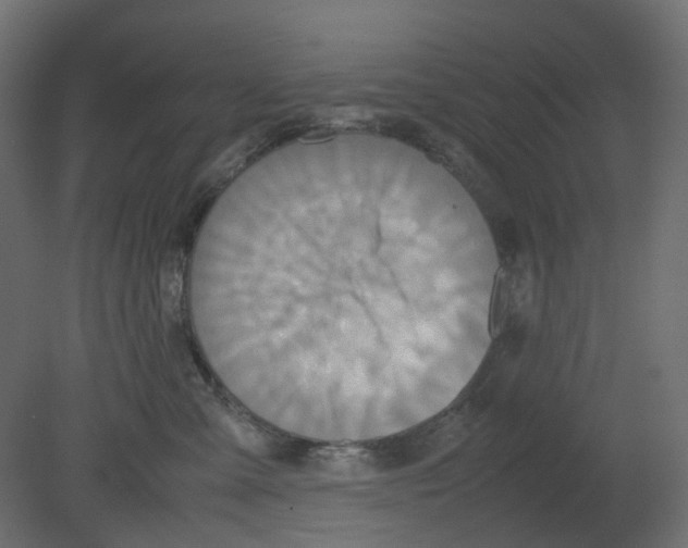 X0000080660427200701121611