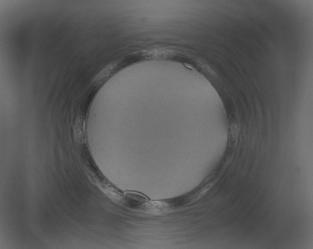 X0000080660429200701121611