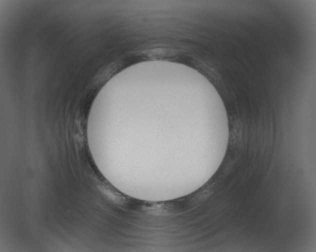 X0000080660430200701121611