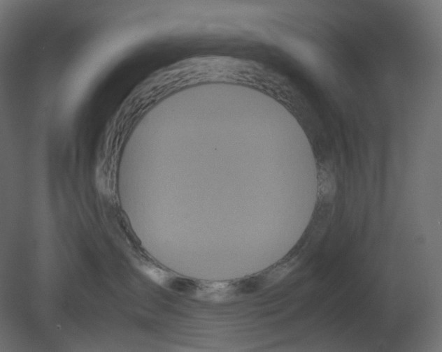 X0000080660431200701121611