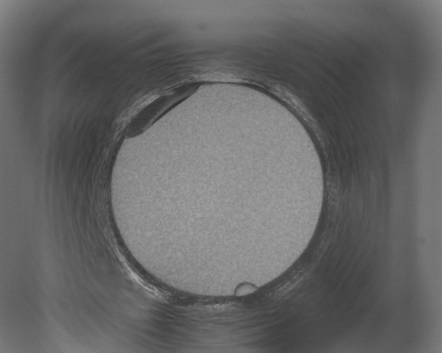 X0000080660433200701121610