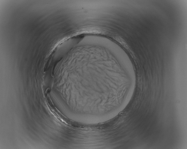 X0000080660434200701121610