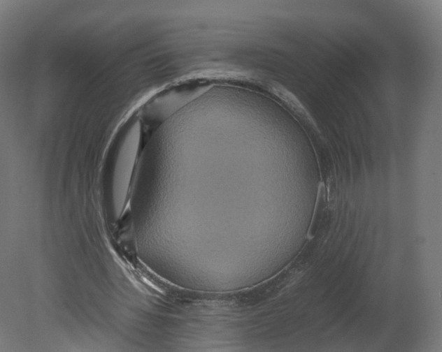 X0000080660436200701121610