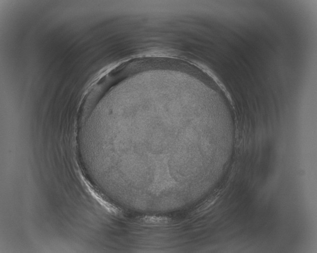 X0000080660437200701121610