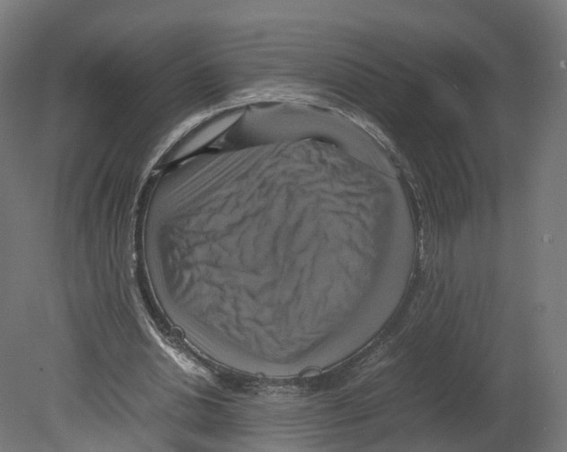 X0000080660438200701121610