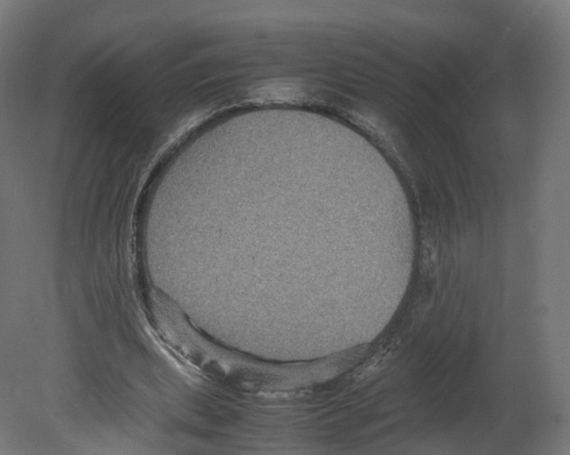 X0000080660439200701121610