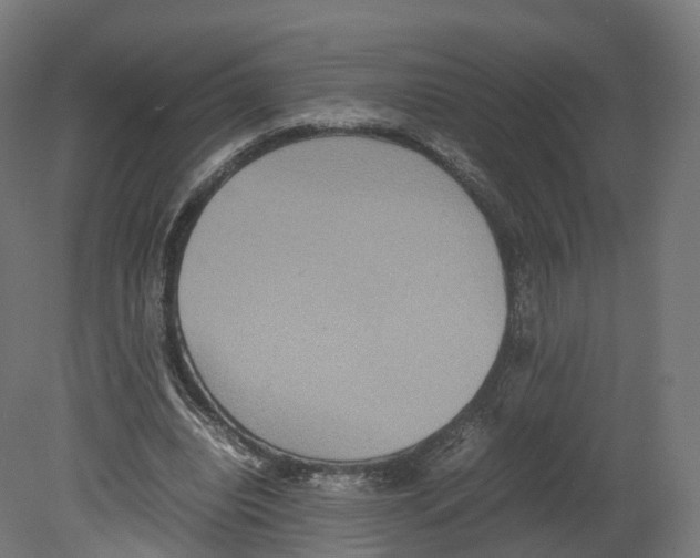 X0000080660440200701121610