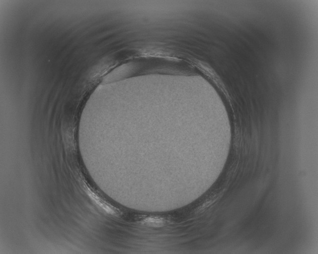 X0000080660441200701121610