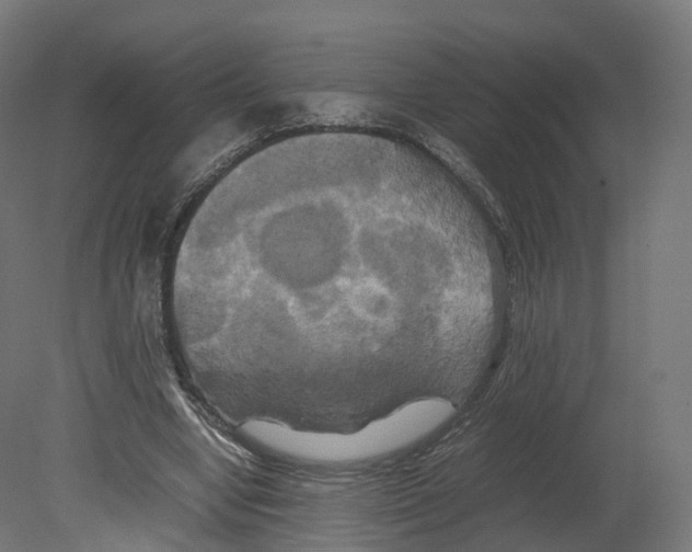 X0000080660442200701121610