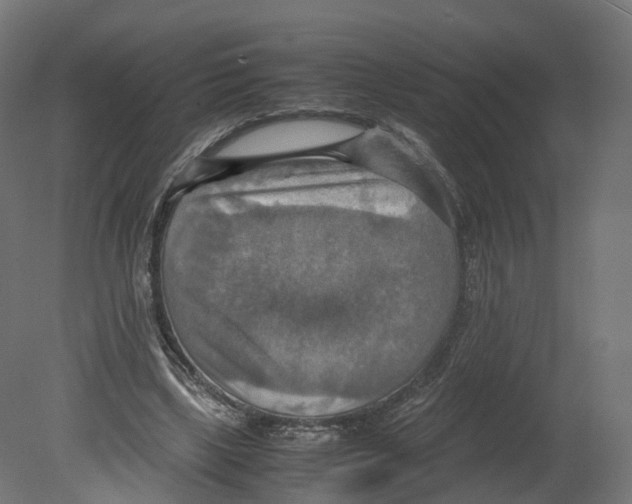 X0000080660443200701121610