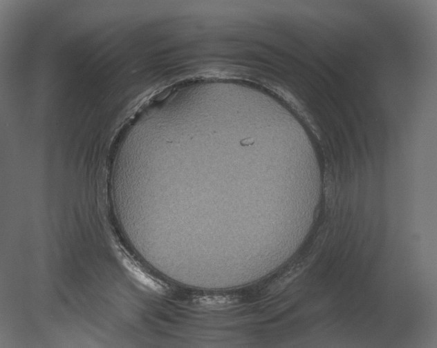 X0000080660445200701121610