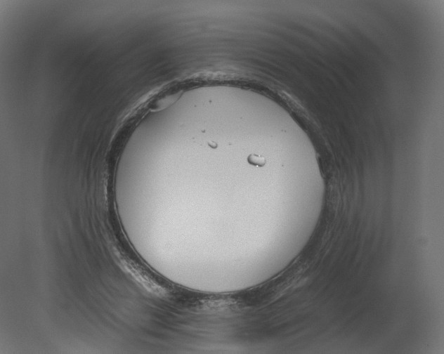 X0000080660446200701121611