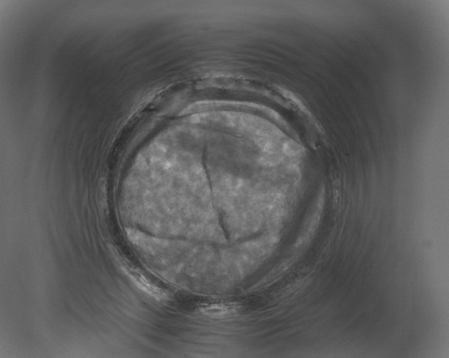 X0000080660447200701121611