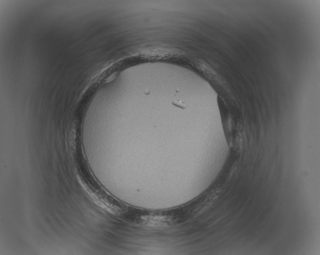 X0000080660448200701121611