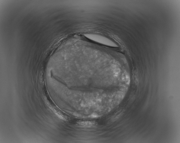 X0000080660449200701121611