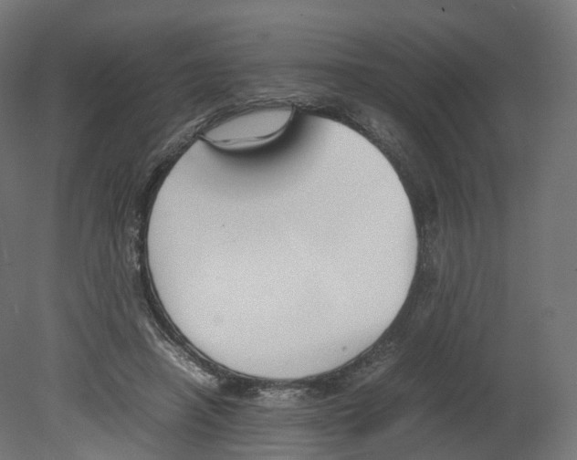 X0000080660450200701121611