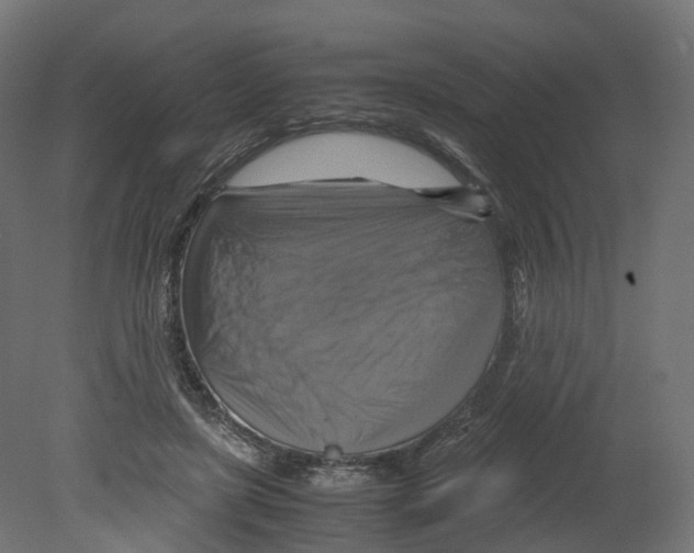 X0000080660451200701121611