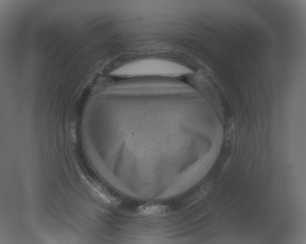 X0000080660452200701121611