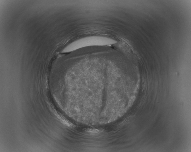 X0000080660453200701121611