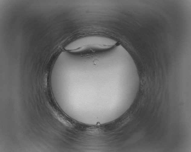 X0000080660454200701121611