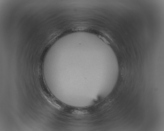 X0000080660455200701121611