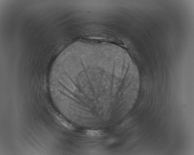 X0000080660457200701121611