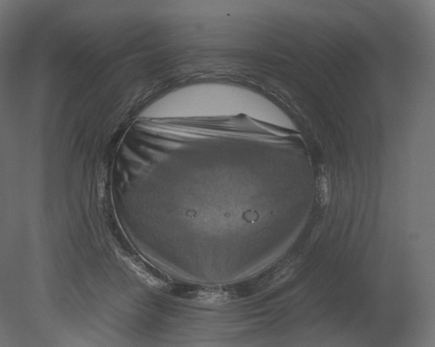 X0000080660458200701121611