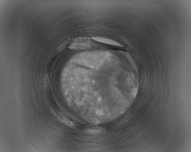 X0000080660459200701121611