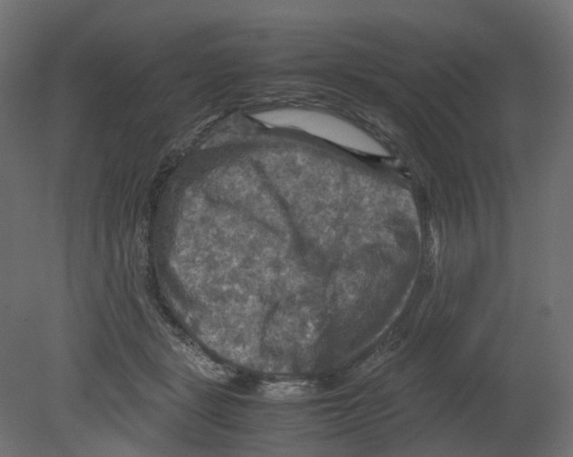 X0000080660461200701121611