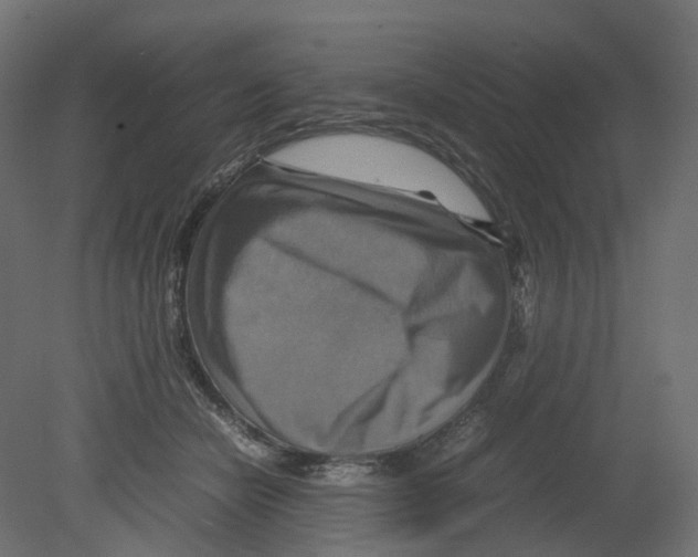 X0000080660462200701121611