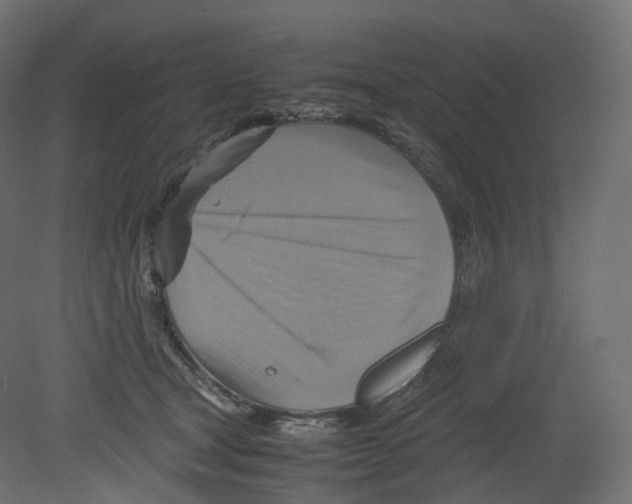 X0000080660465200701121611