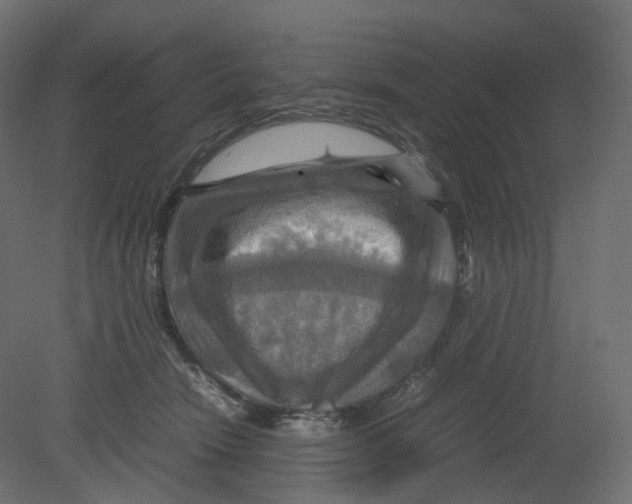 X0000080660466200701121611