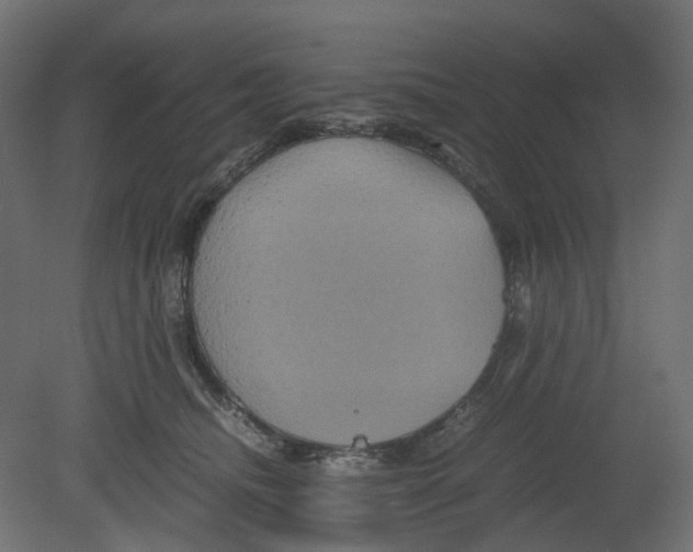 X0000080660468200701121611