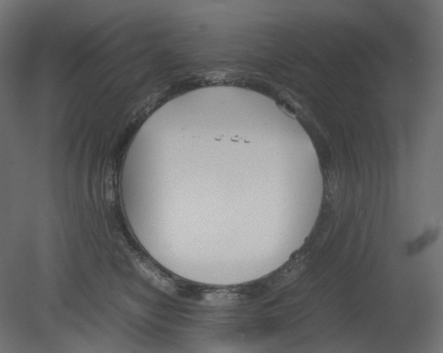 X0000080660470200701121611