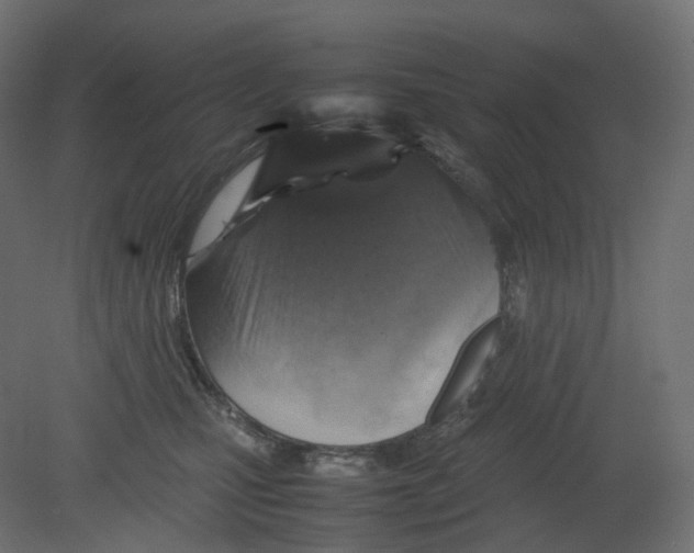 X0000080660471200701121611